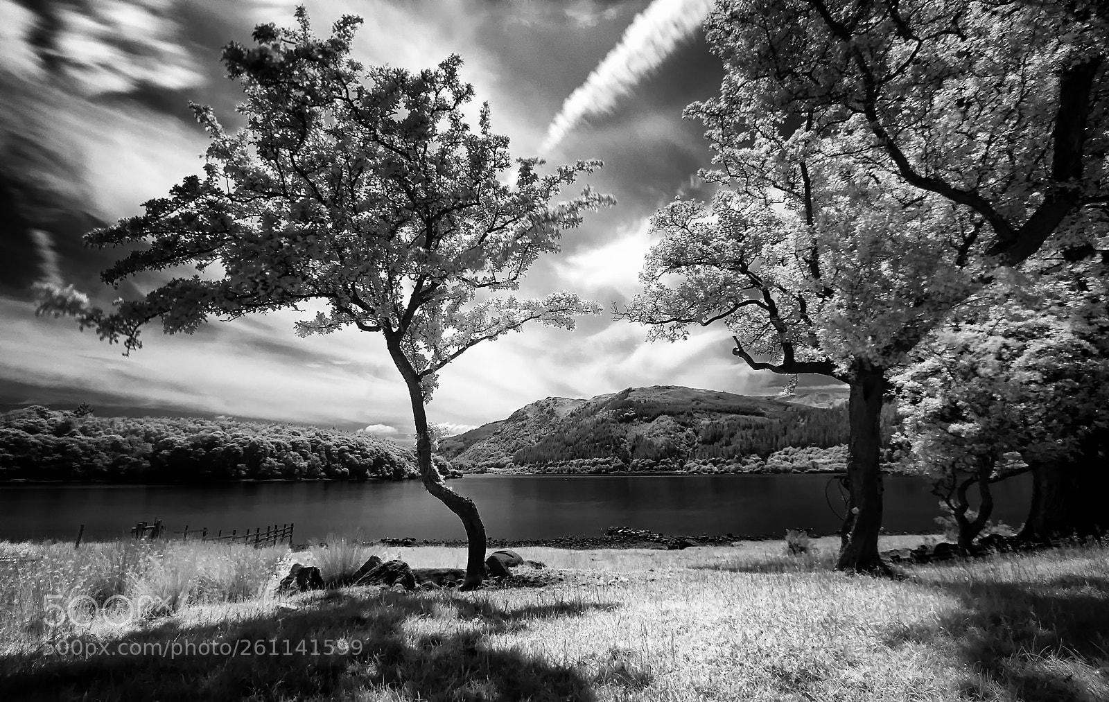 Nikon D200 sample photo. Bassenthwaite trees infared 720nm photography