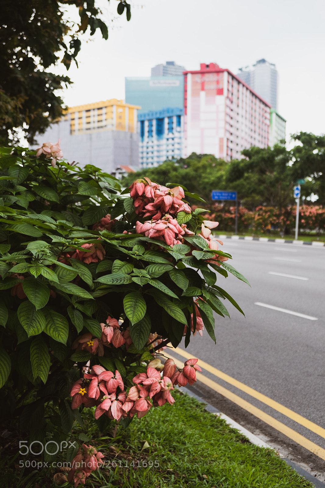 Fujifilm X-T20 sample photo. Singapore streets, cultural mix photography