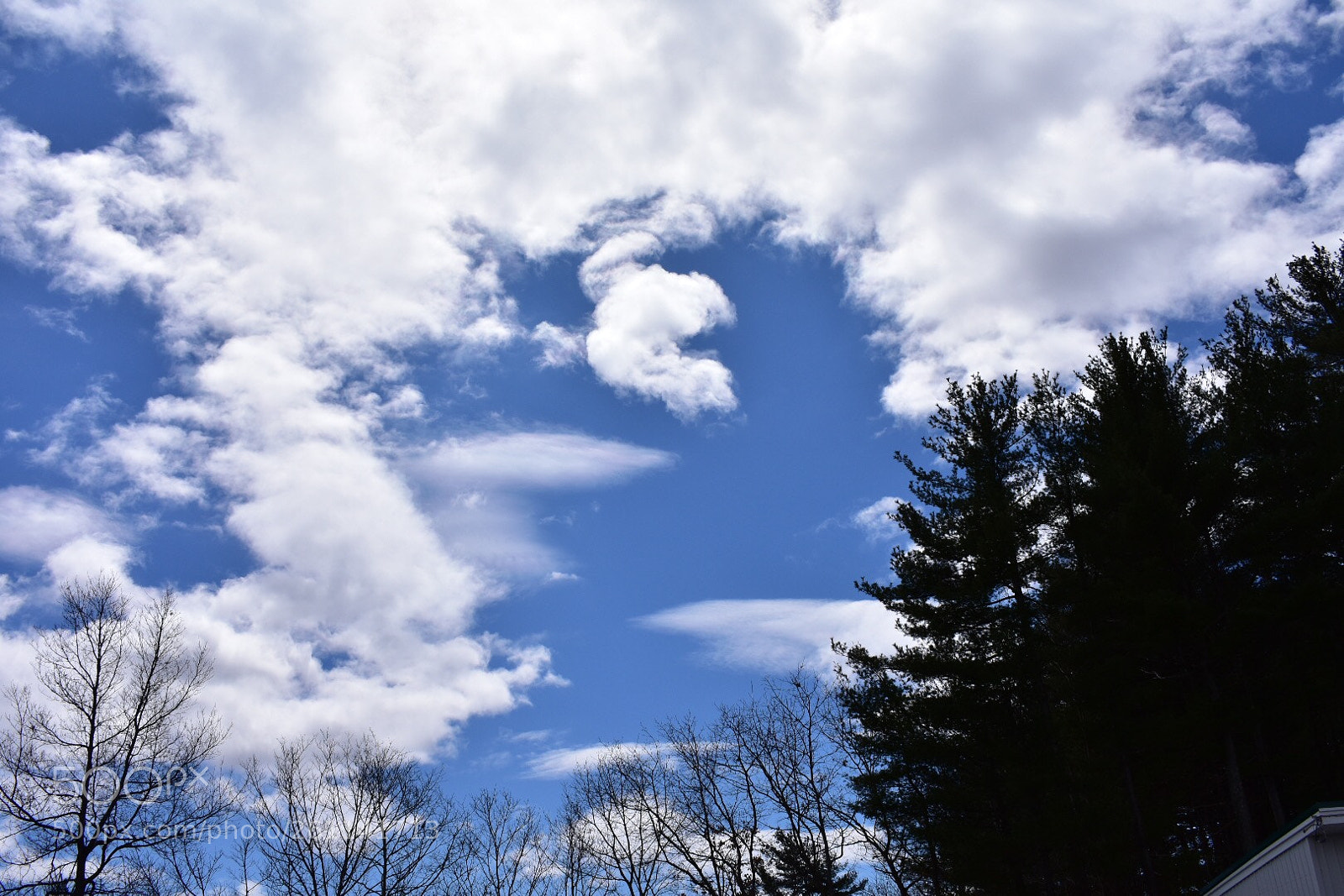 Nikon D3400 sample photo. Untitled photography