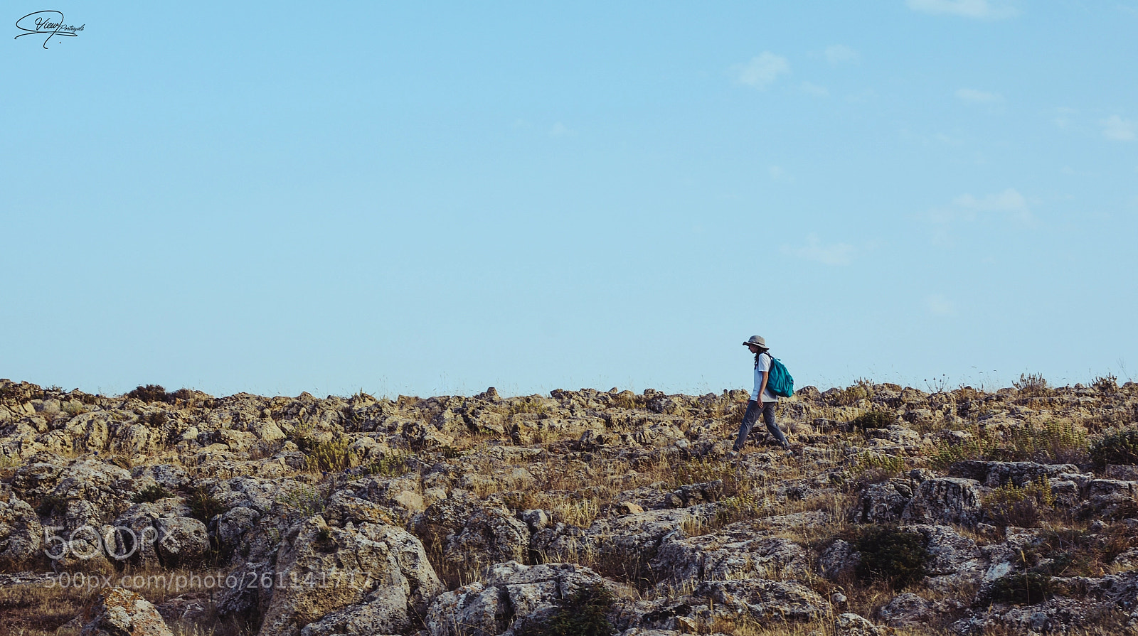 Nikon D7100 sample photo. A walk within skies photography