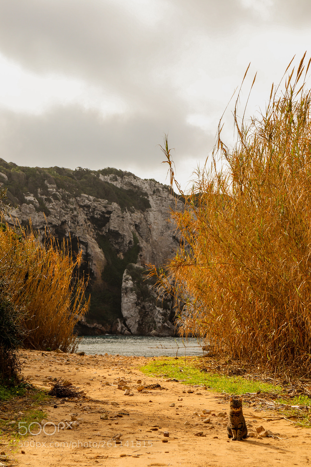 Canon EOS 77D (EOS 9000D / EOS 770D) sample photo. Baywatch photography