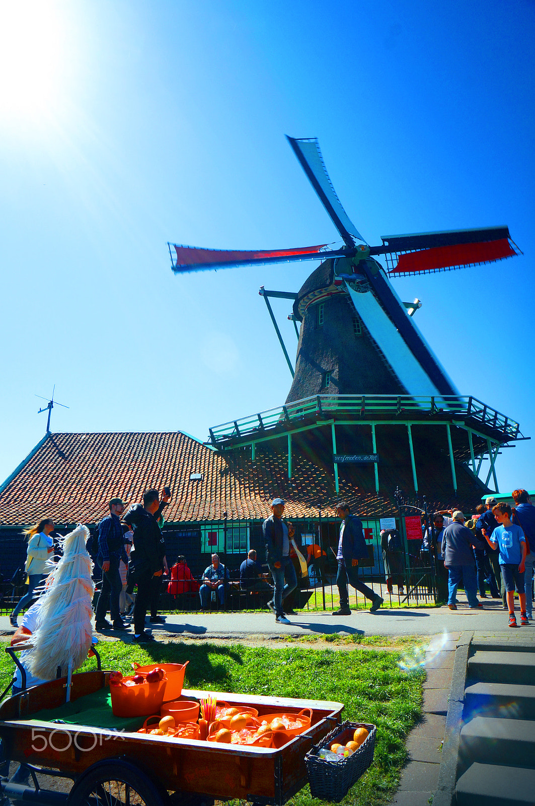 Sony Alpha NEX-6 sample photo. Oranges by the windmill photography