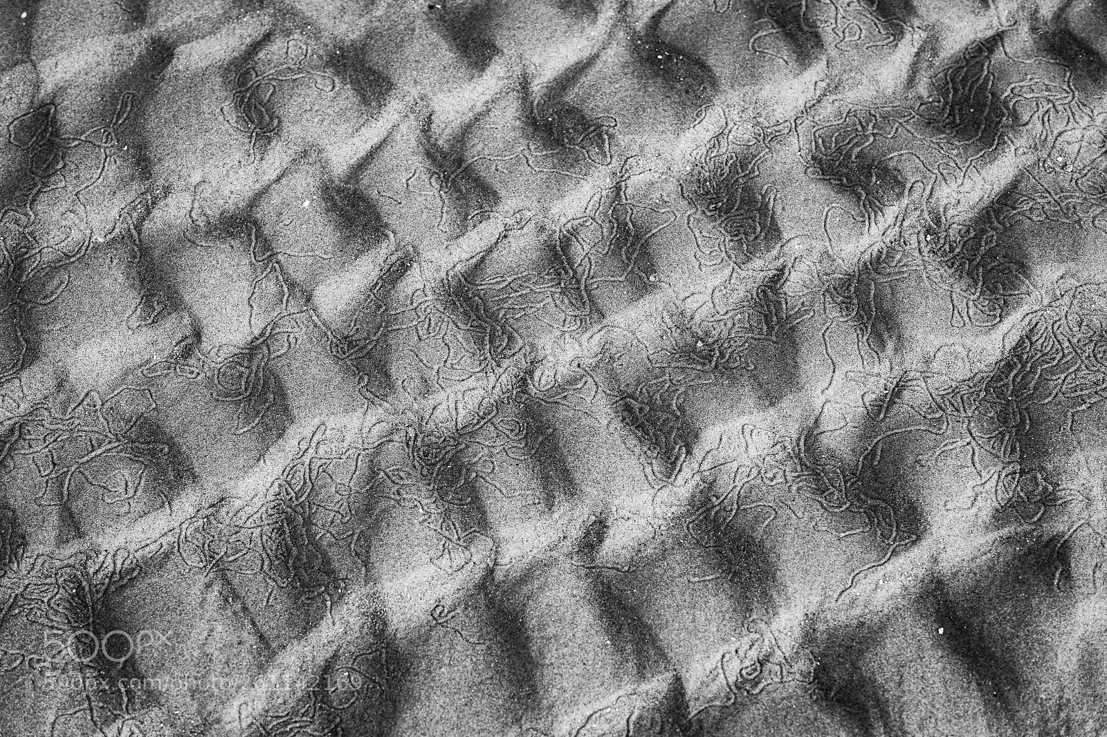 Canon EOS 6D sample photo. Lines & shapes ii photography