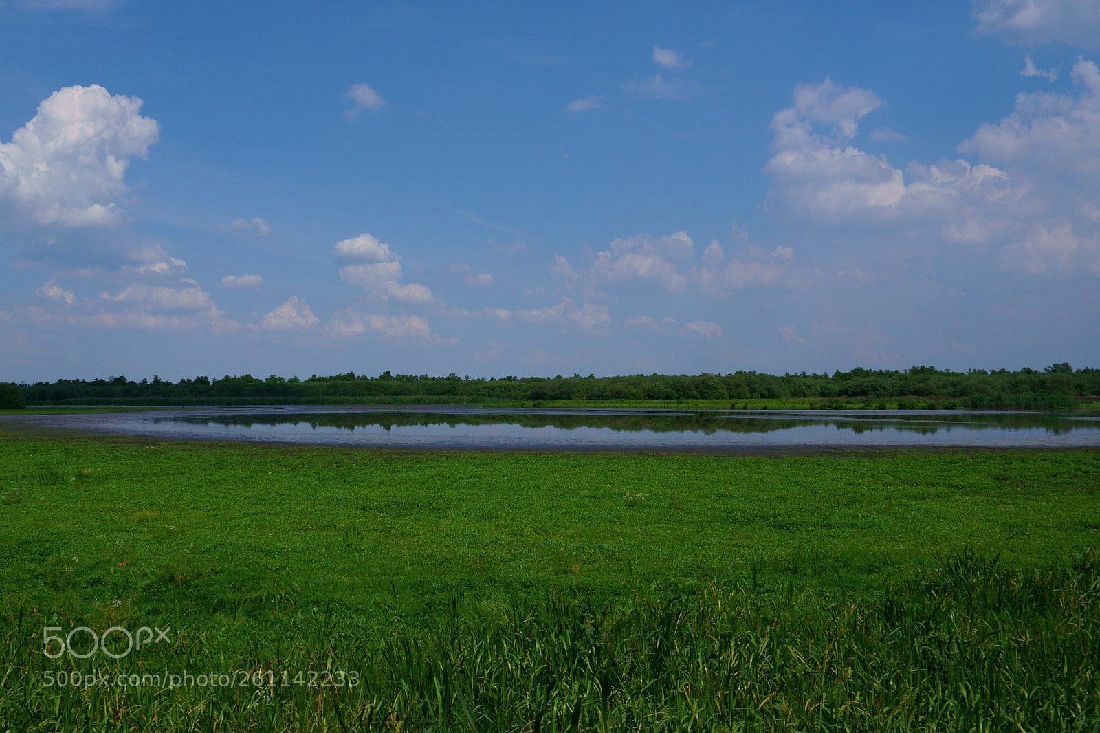 Sony a6300 sample photo. Natur am steinhuder meer photography