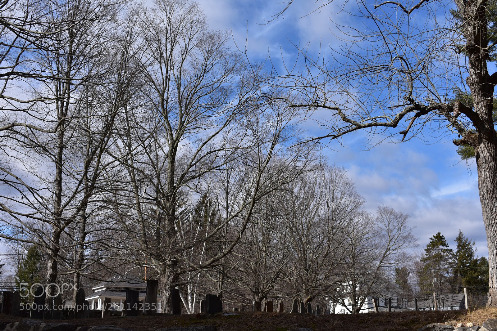Nikon D3400 sample photo. Untitled photography