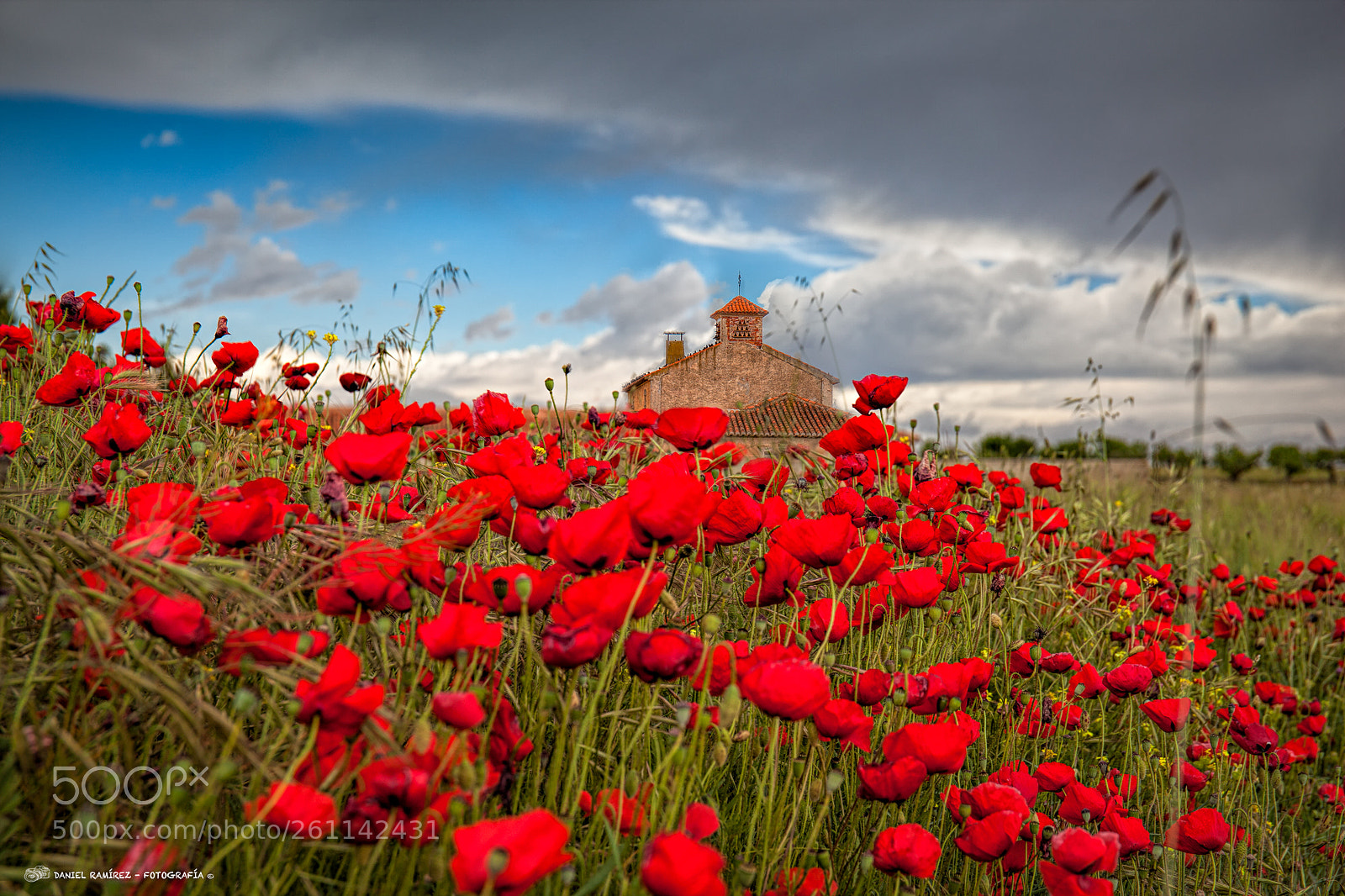 Canon EOS 5D Mark II sample photo. Roselles photography