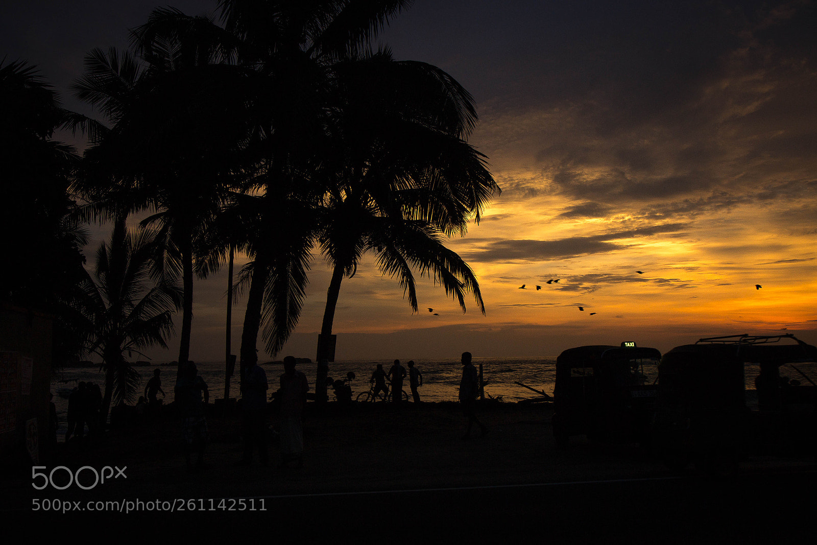 Canon EOS 600D (Rebel EOS T3i / EOS Kiss X5) sample photo. Sunset in hikkaduwa photography