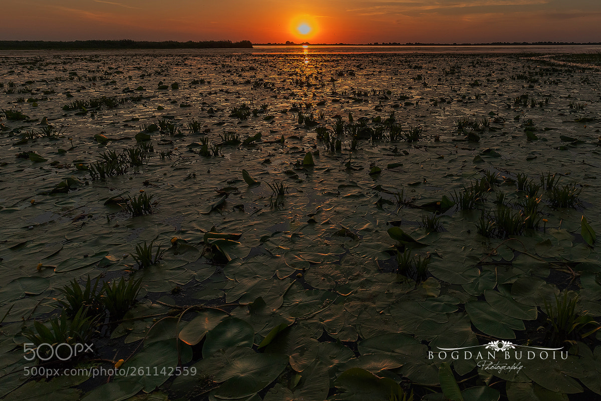 Canon EOS 6D Mark II sample photo. Sunset on the danube photography