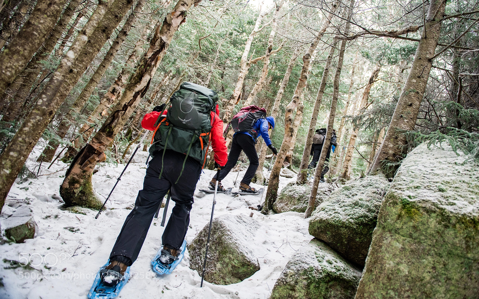 Nikon D810 sample photo. Snowshoeing in the white photography