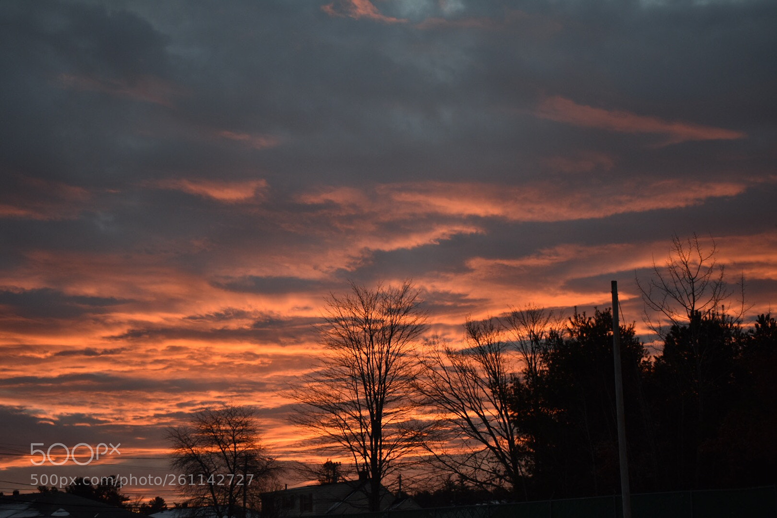 Nikon D3400 sample photo. Untitled photography