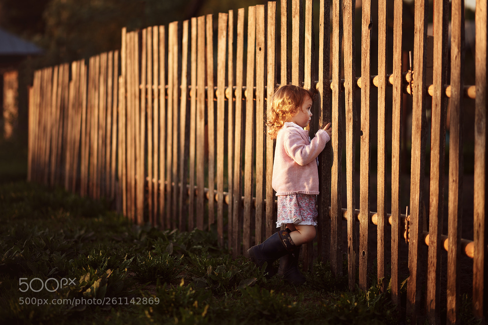 Canon EOS 6D sample photo. Untitled photography