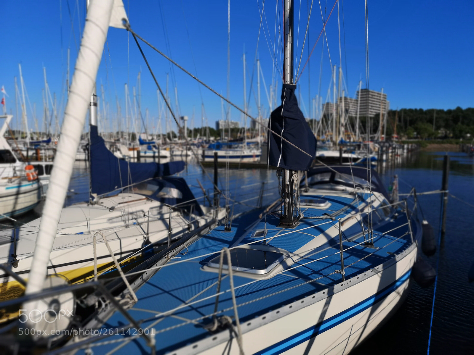 HUAWEI CLT-L29 sample photo. A walk in my photography