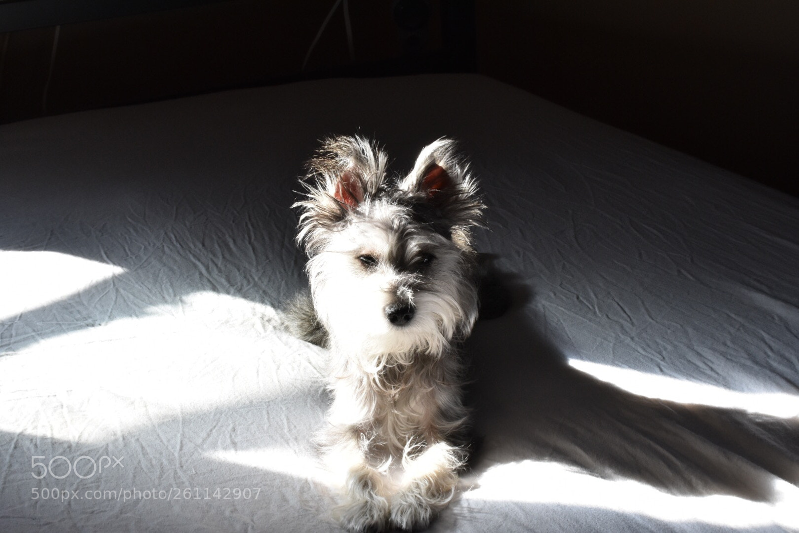 Nikon D3400 sample photo. Untitled photography
