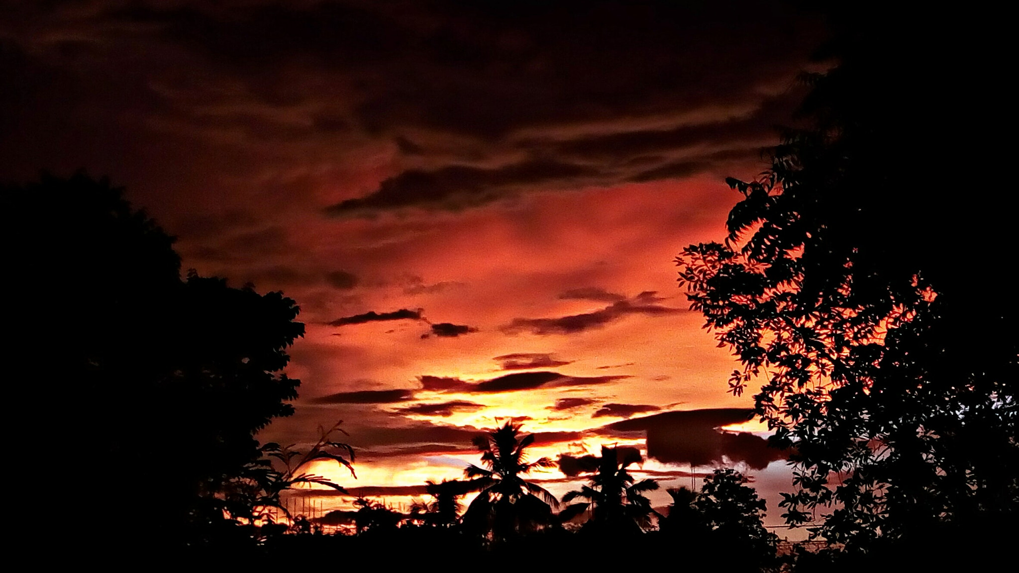 Lenovo VIBE X3 LITE sample photo. Red sky photography