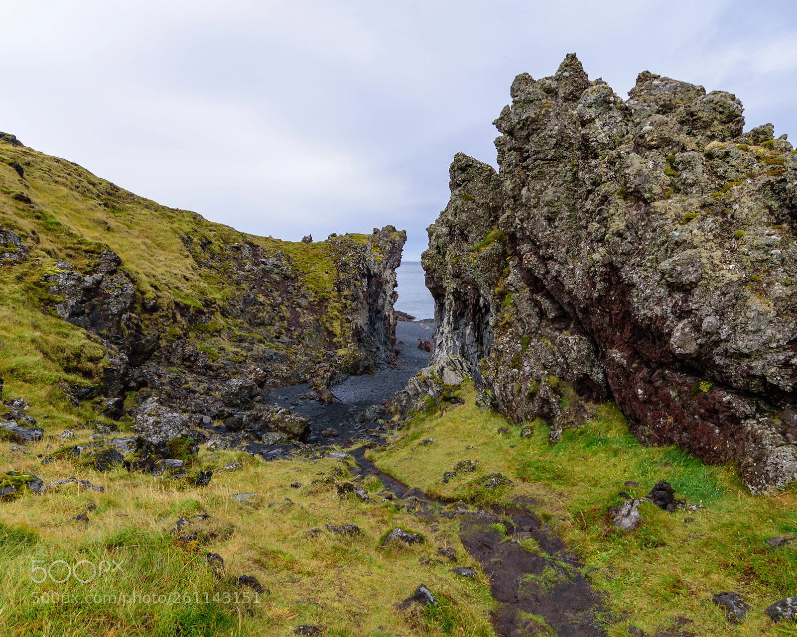 Nikon D5500 sample photo. The path to the photography