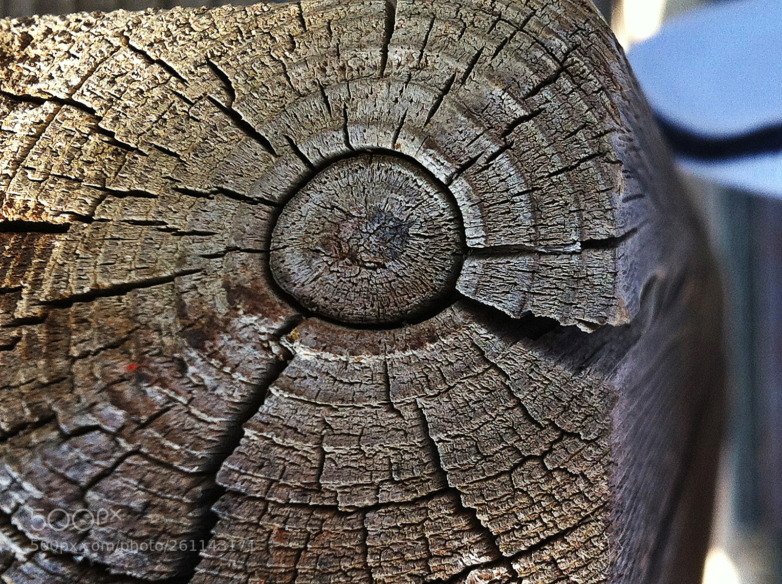 Apple iPhone 4 sample photo. Fissure sur le tasseau photography