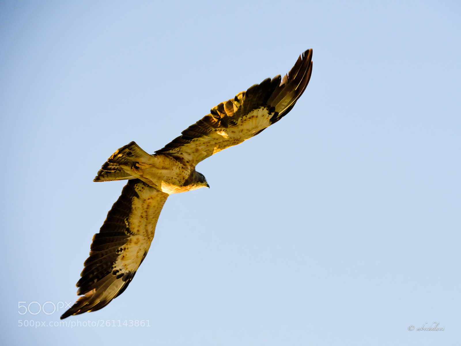 Nikon D810 sample photo. Mbs photography