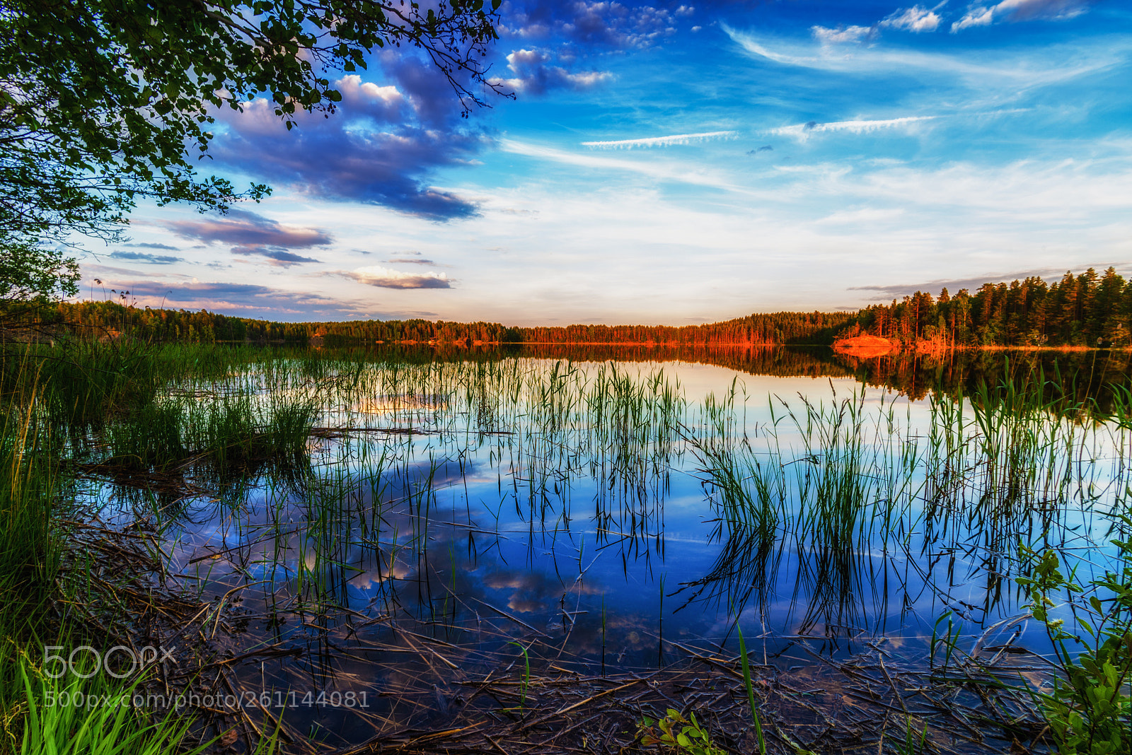 Nikon D600 sample photo. Summer evening photography
