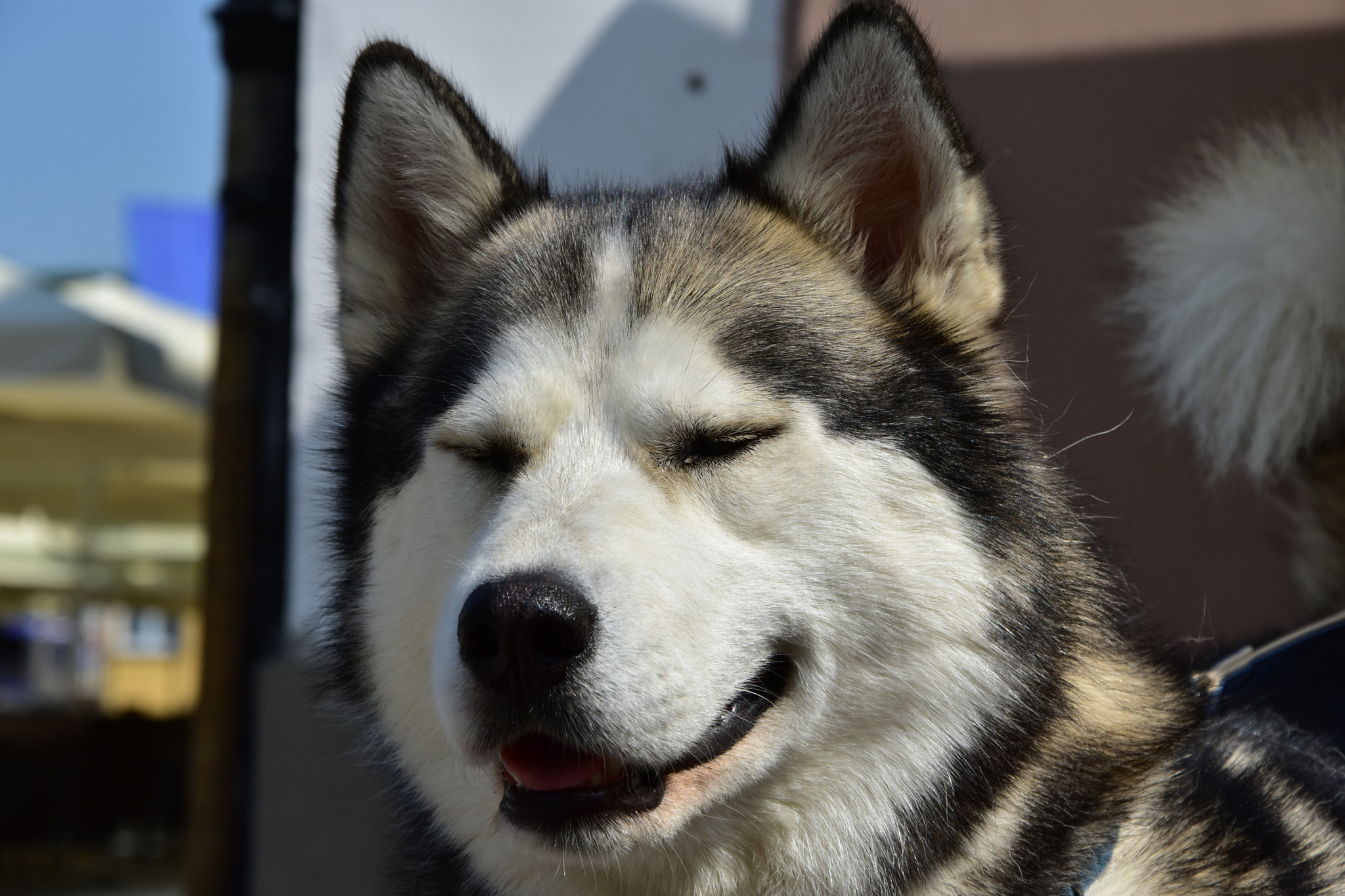 Nikon D3400 sample photo. Dsc photography