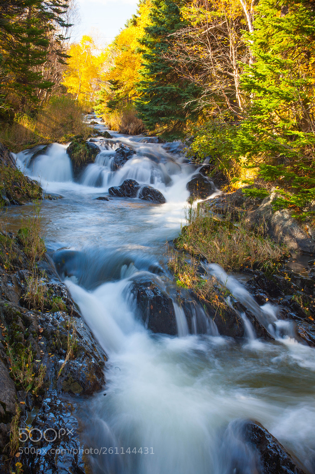 Canon EOS 5D sample photo. Bowering park fall slow photography