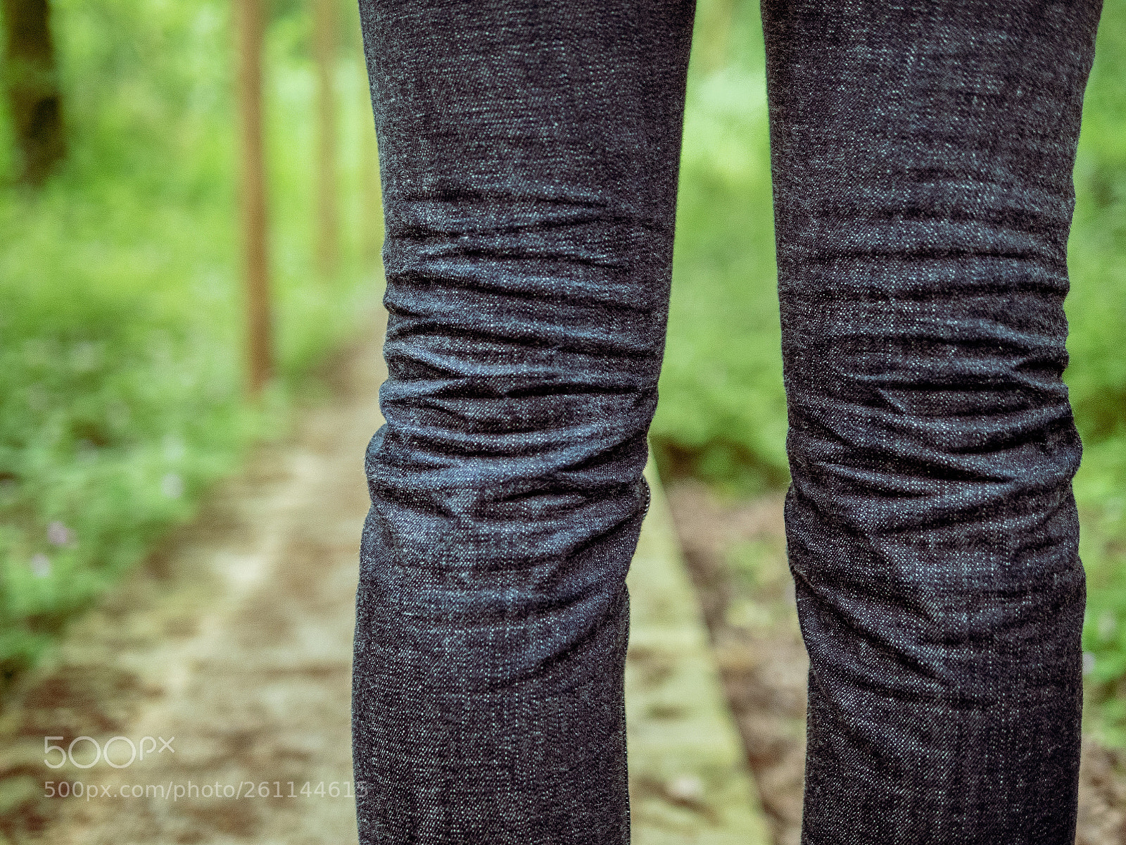 Panasonic Lumix DC-G9 sample photo. Denim in the forest photography