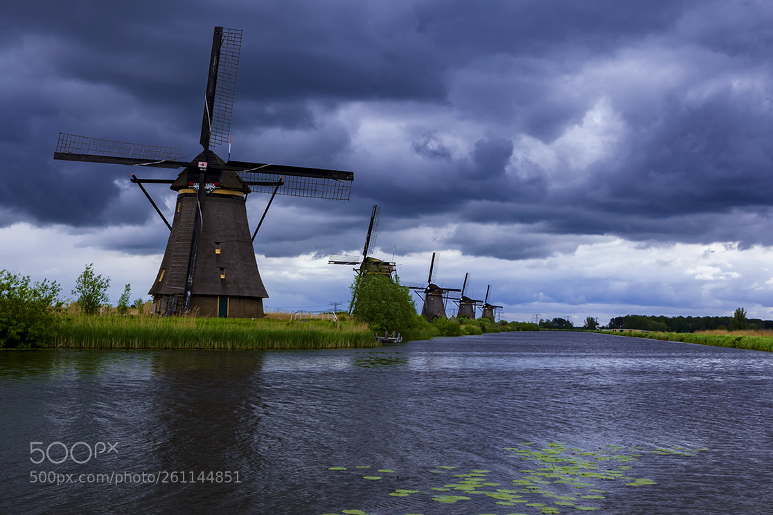 Canon EOS 5D Mark II sample photo. Kinderdijk photography