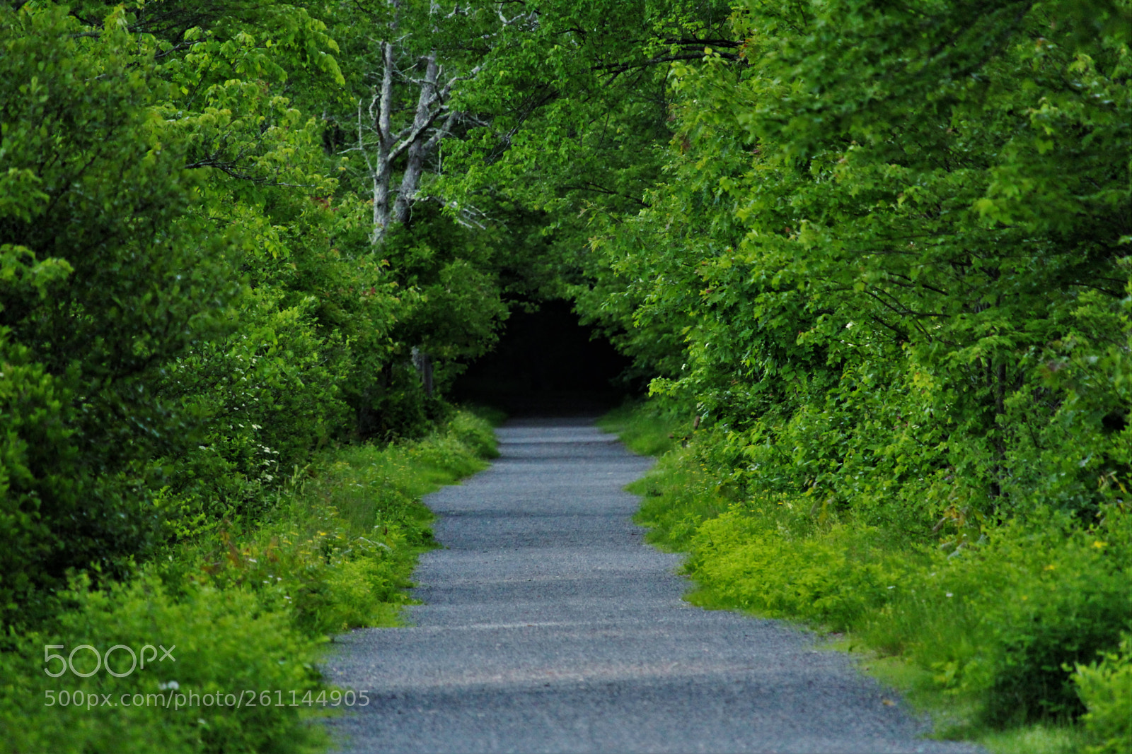 Canon EOS 1300D (EOS Rebel T6 / EOS Kiss X80) sample photo. Tunnel at the end photography