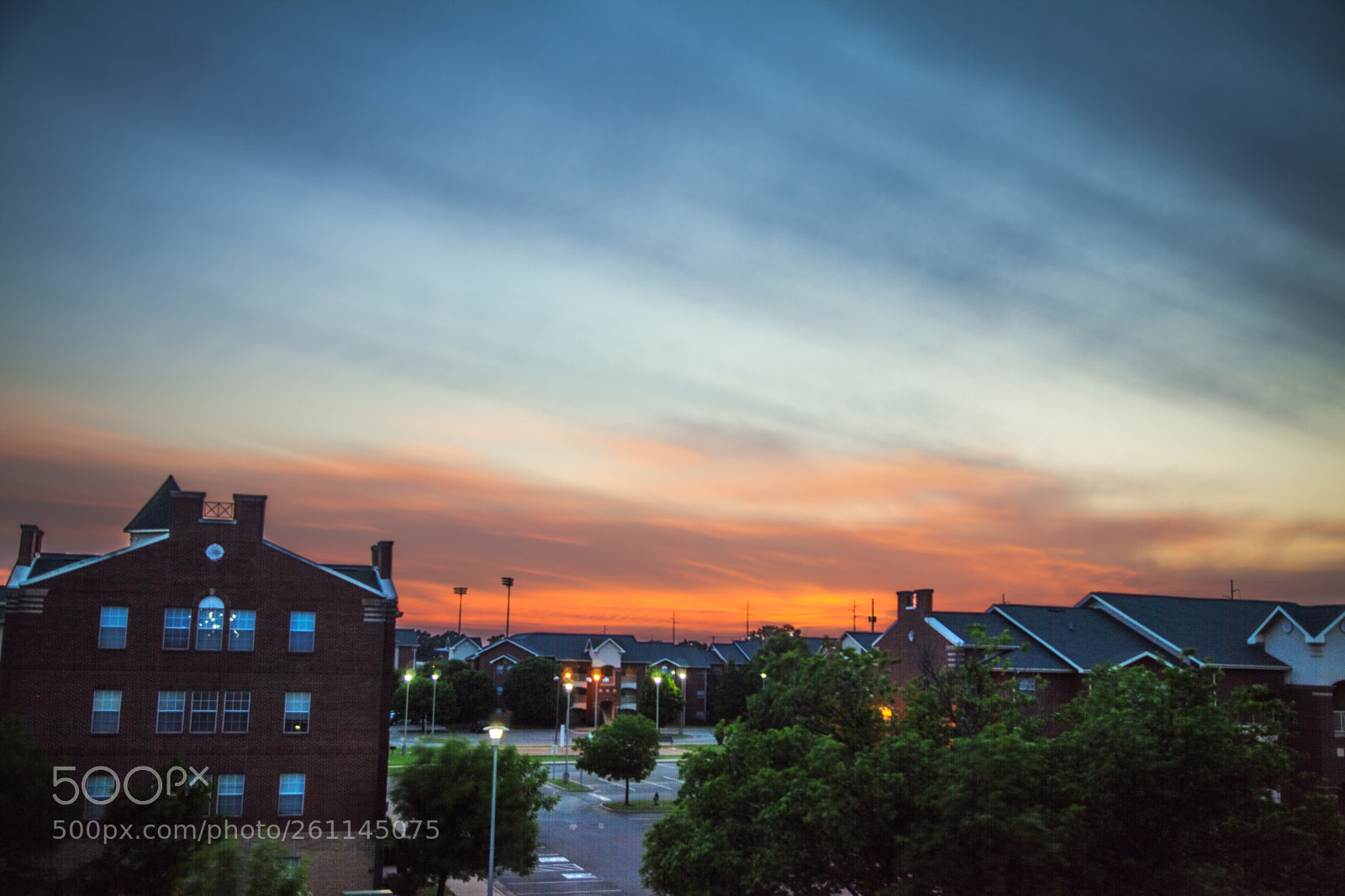 Canon EOS 5D Mark II sample photo. Osu photography