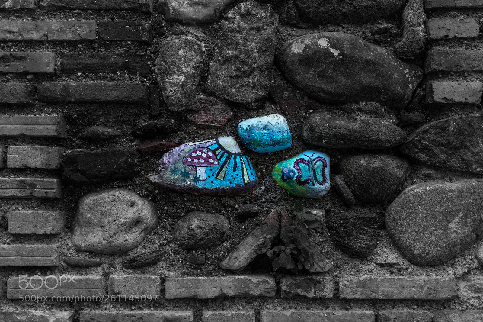Canon EOS 6D Mark II sample photo. The smures photography