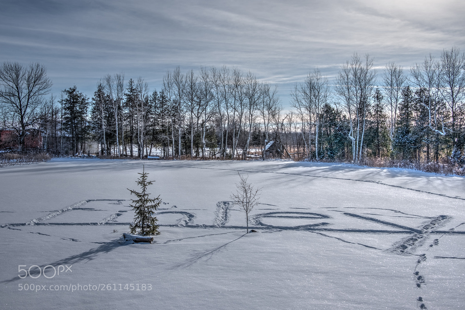 Fujifilm X-T20 sample photo. Footprints in the snow photography