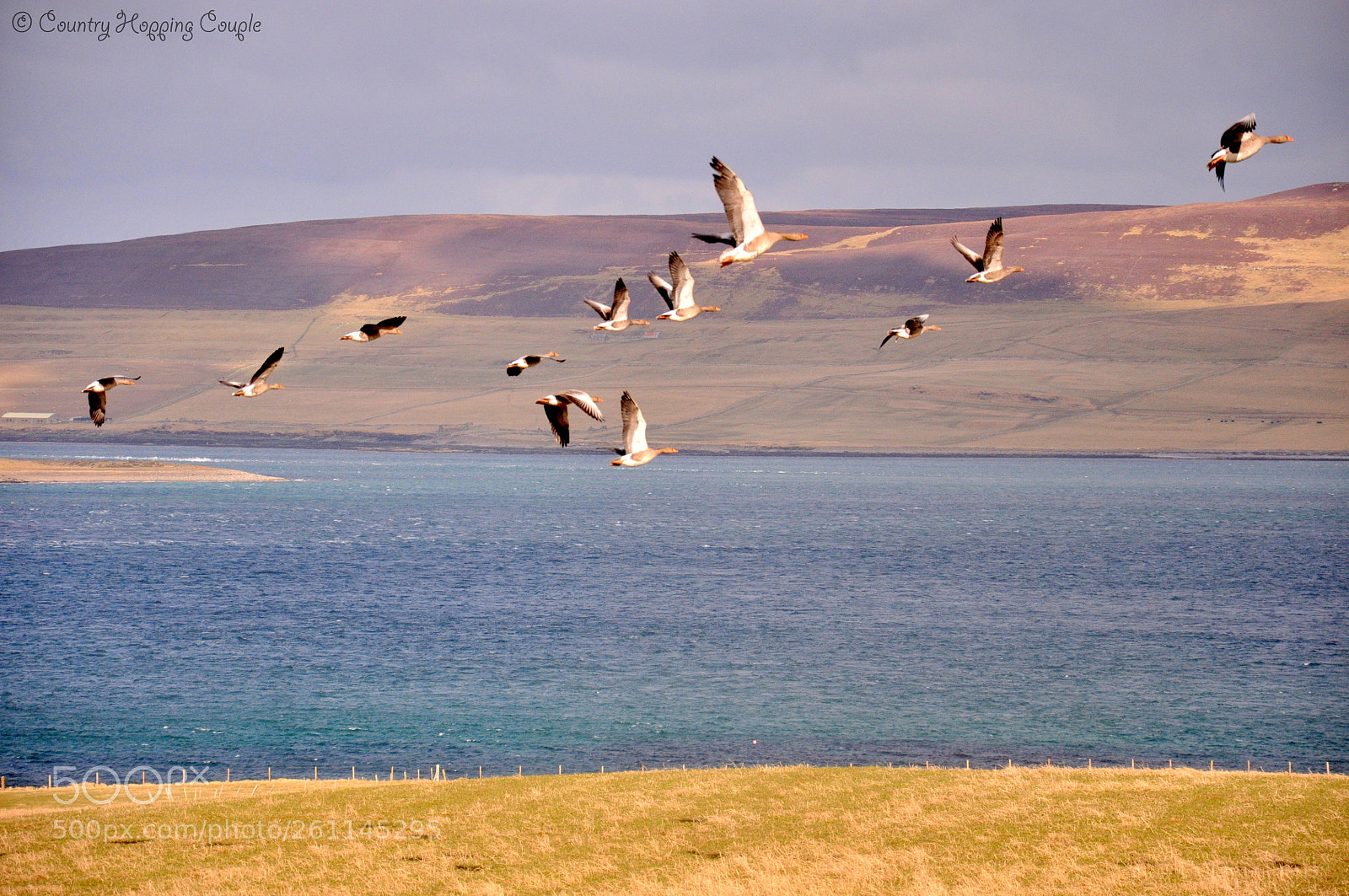 Nikon D90 sample photo. Orkney islands photography