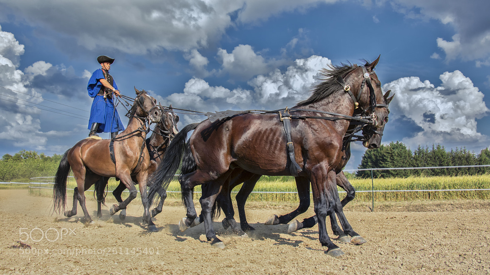 Canon EOS 80D sample photo. On horses photography