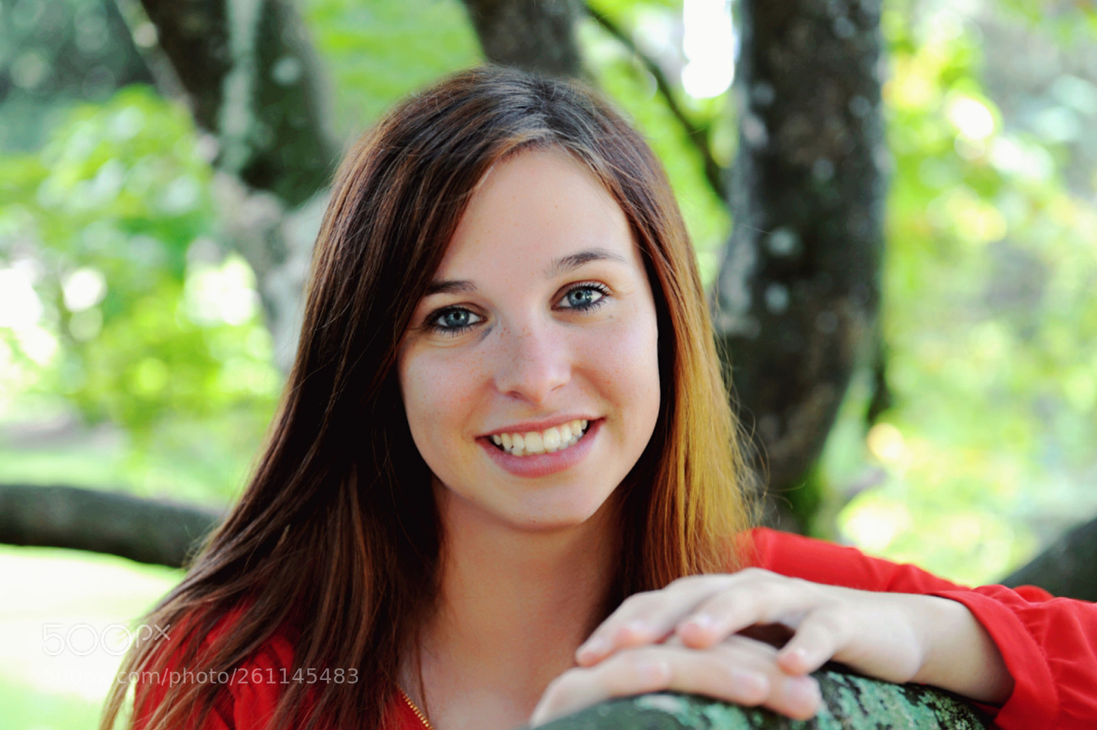 Nikon D700 sample photo. Untitled photography