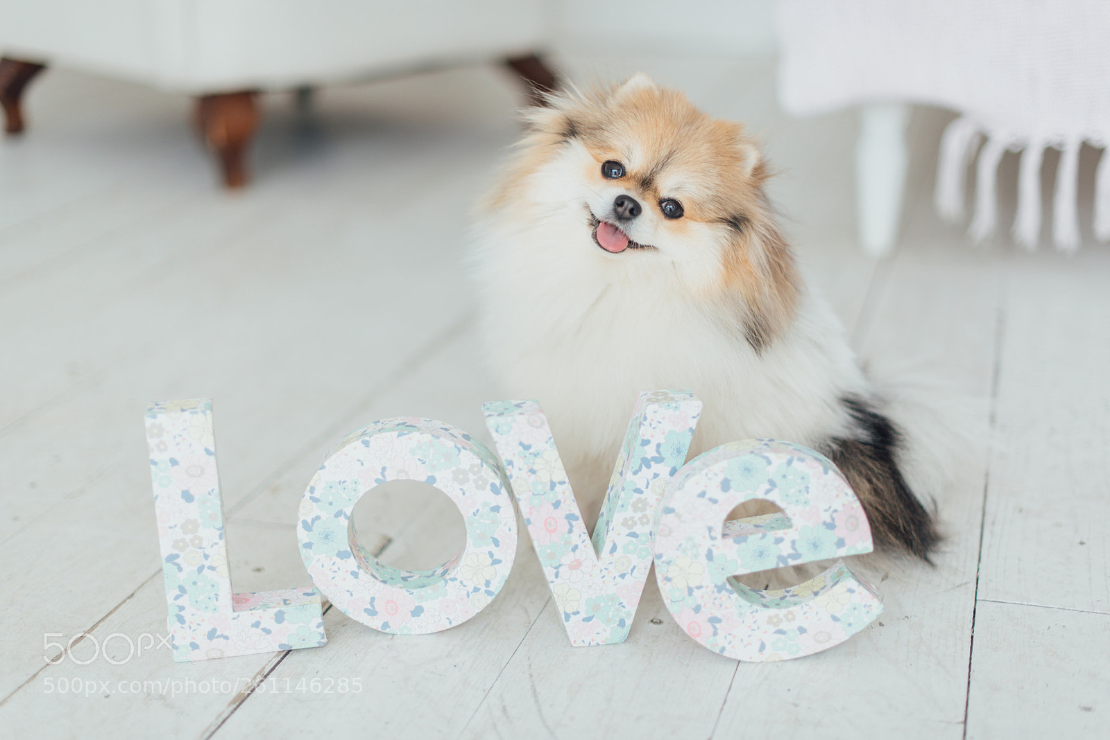 Nikon D750 sample photo. Home sweet home photography