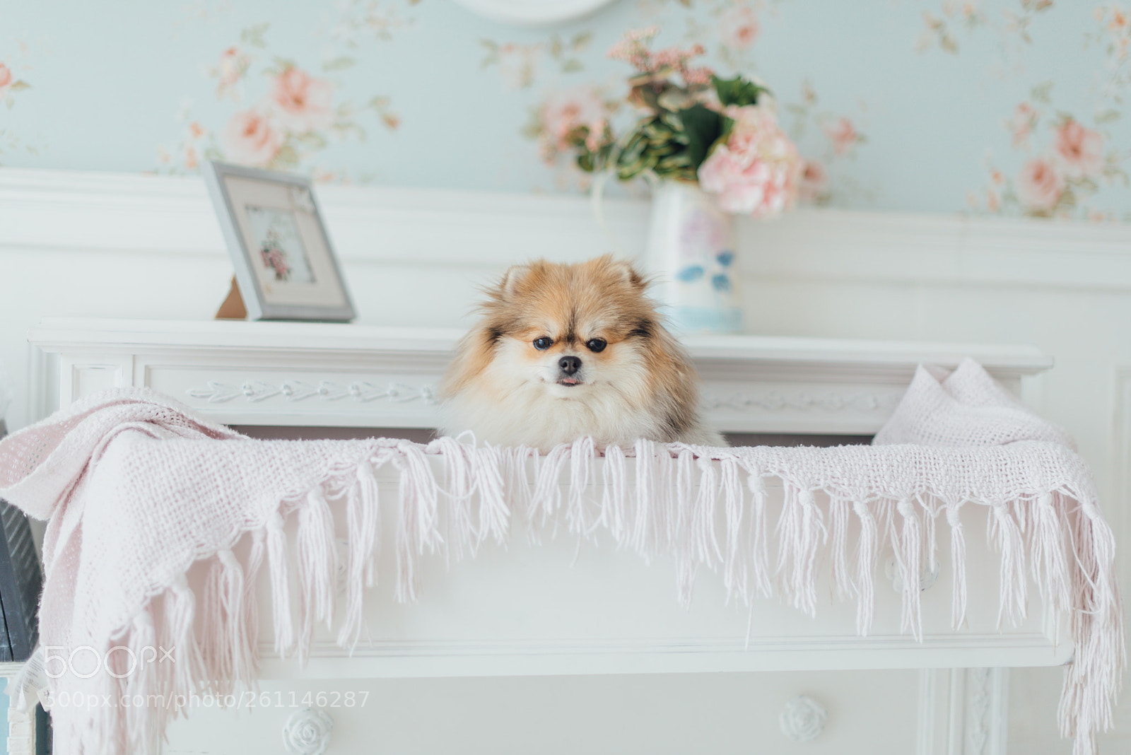 Nikon D750 sample photo. Home sweet home photography