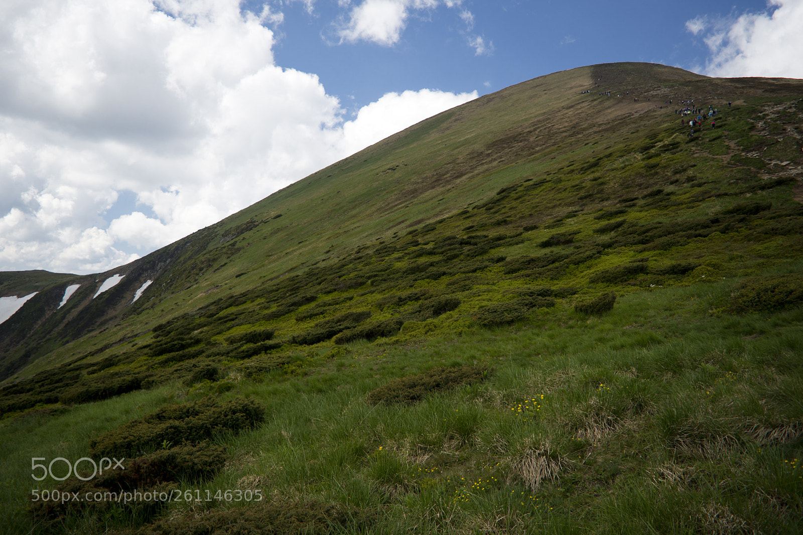 Nikon D7200 sample photo. Near the top of photography