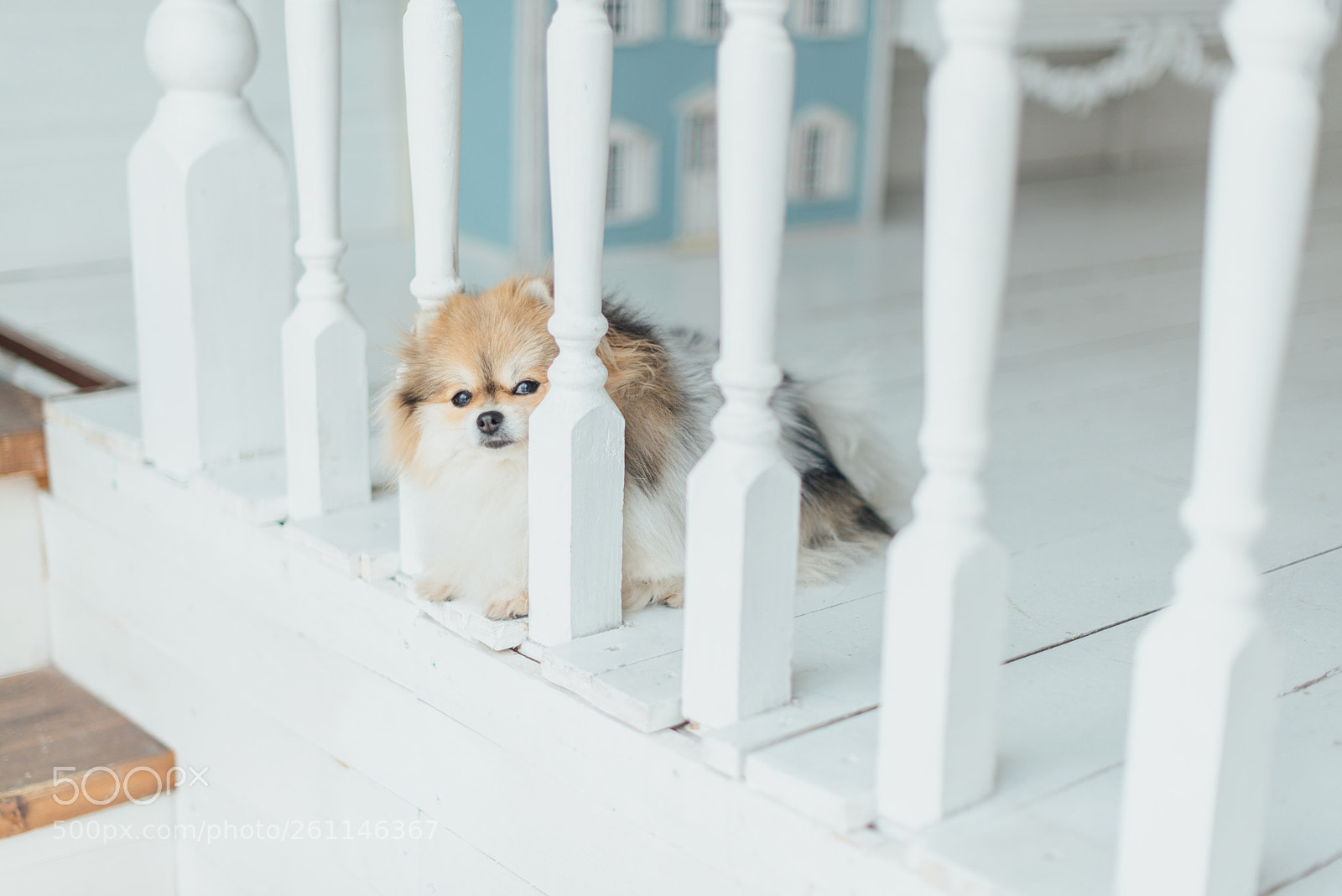 Nikon D750 sample photo. Home sweet home photography