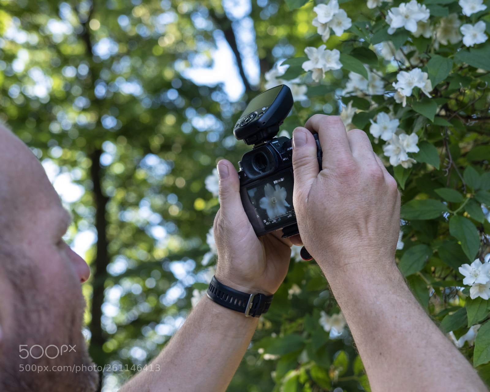 Fujifilm X-T20 sample photo. Flower shoot photography