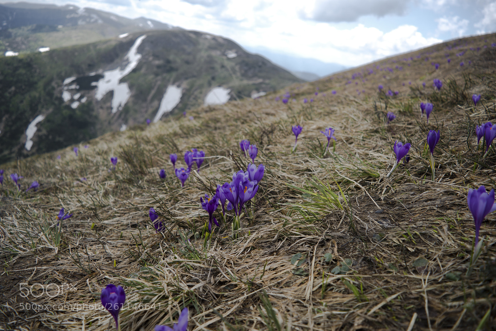 Nikon D7200 sample photo. Croci photography