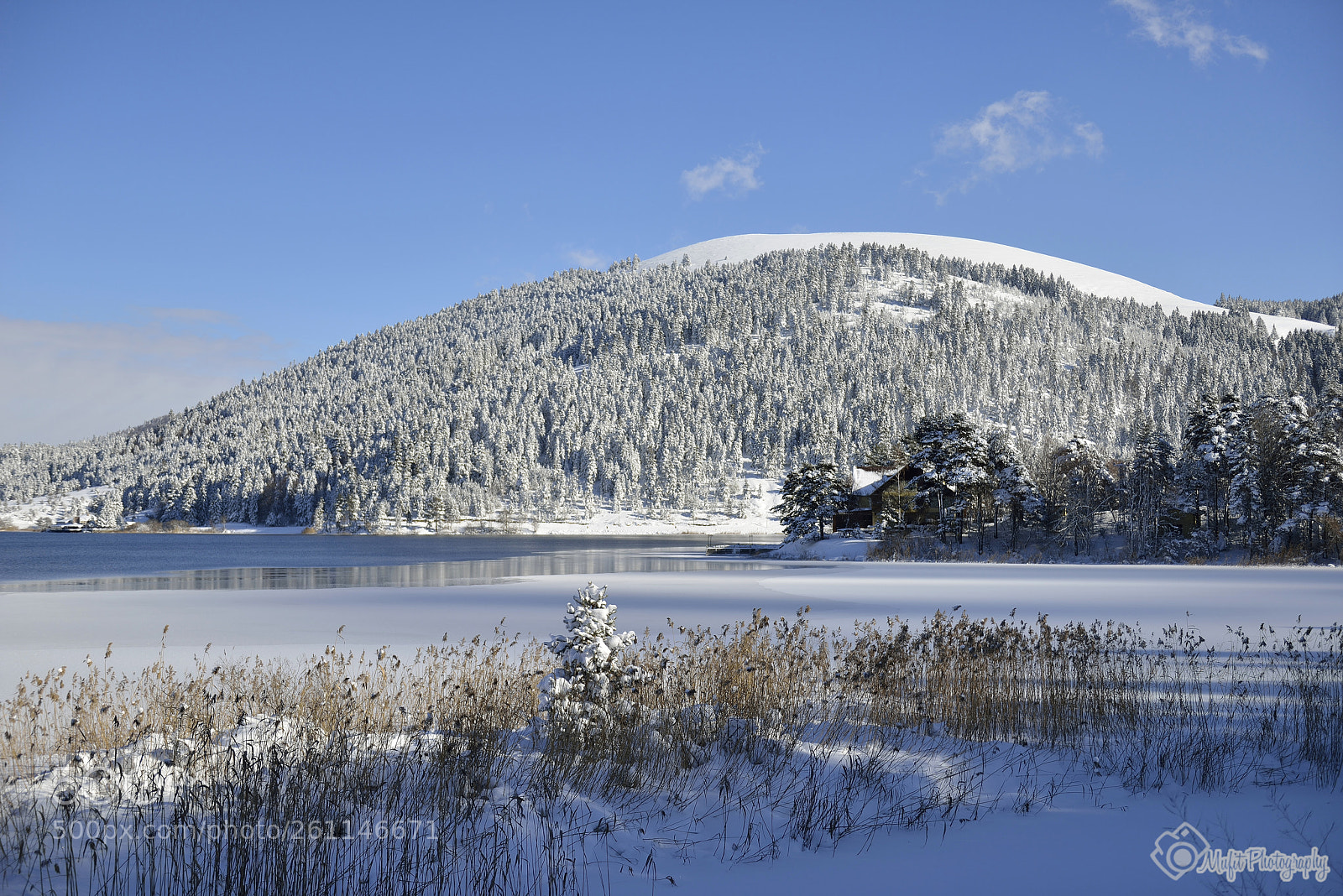 Nikon D800E sample photo. Snow view photography