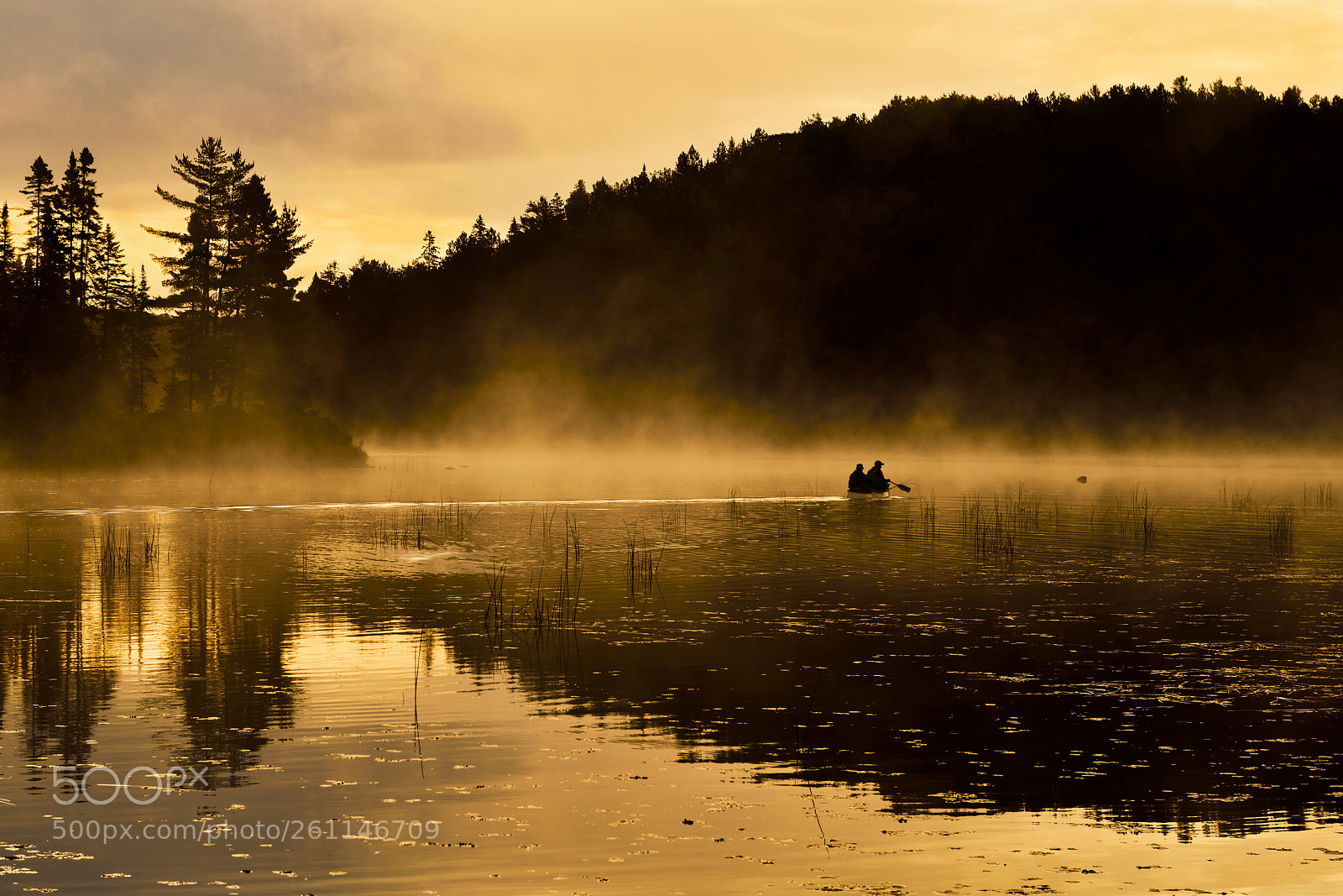 Nikon D850 sample photo. Algonquin sunrise photography