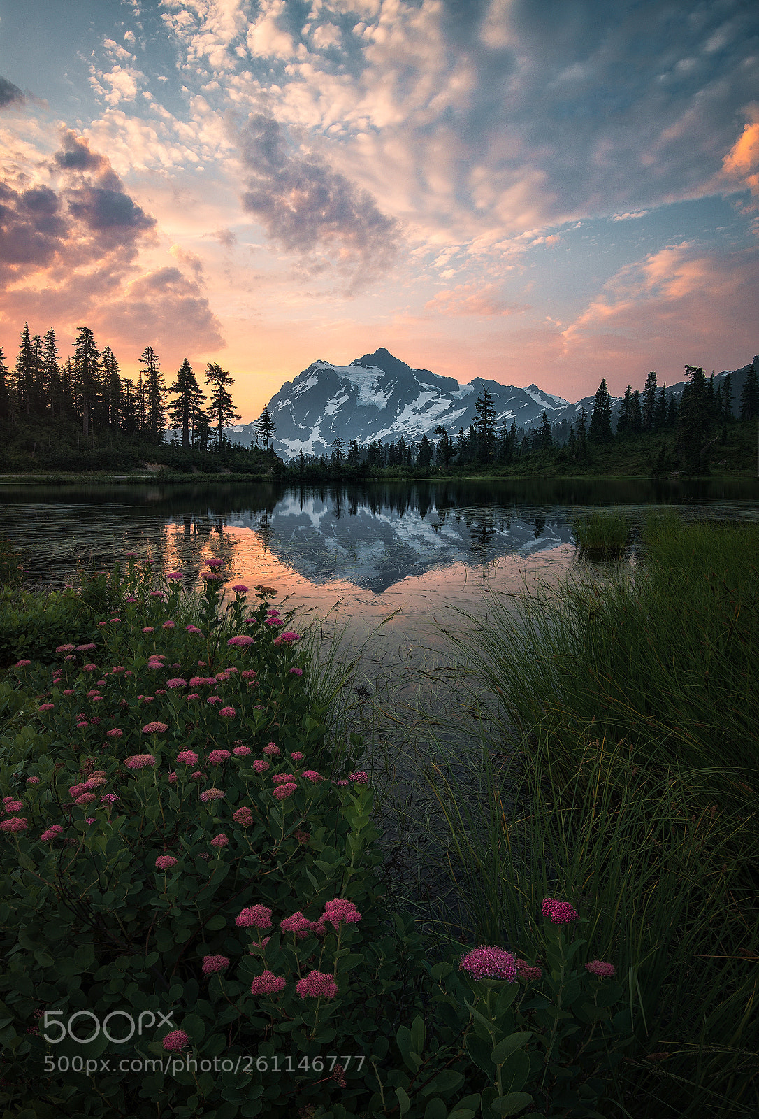 Nikon D610 sample photo. A smokey sunrise at photography