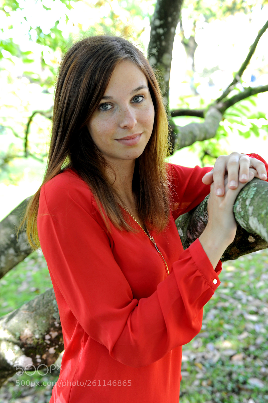 Nikon D700 sample photo. Untitled photography