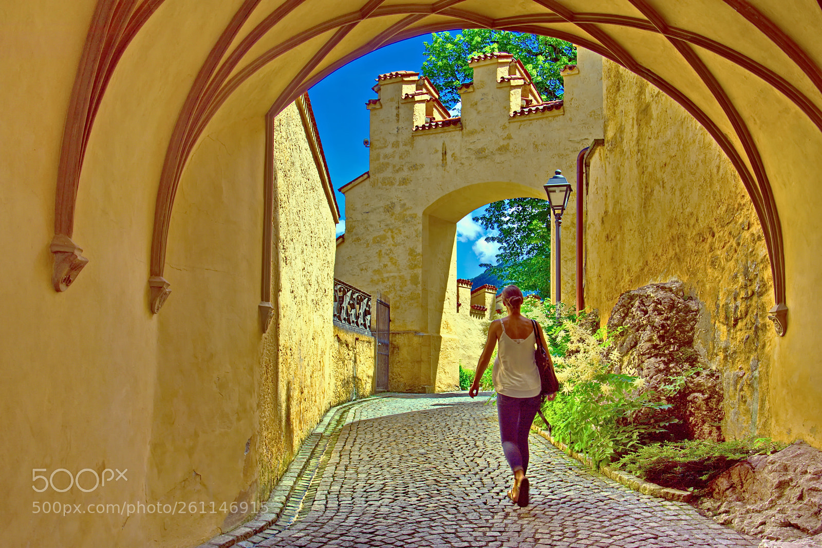 Nikon D7200 sample photo. Visitor at the castle photography