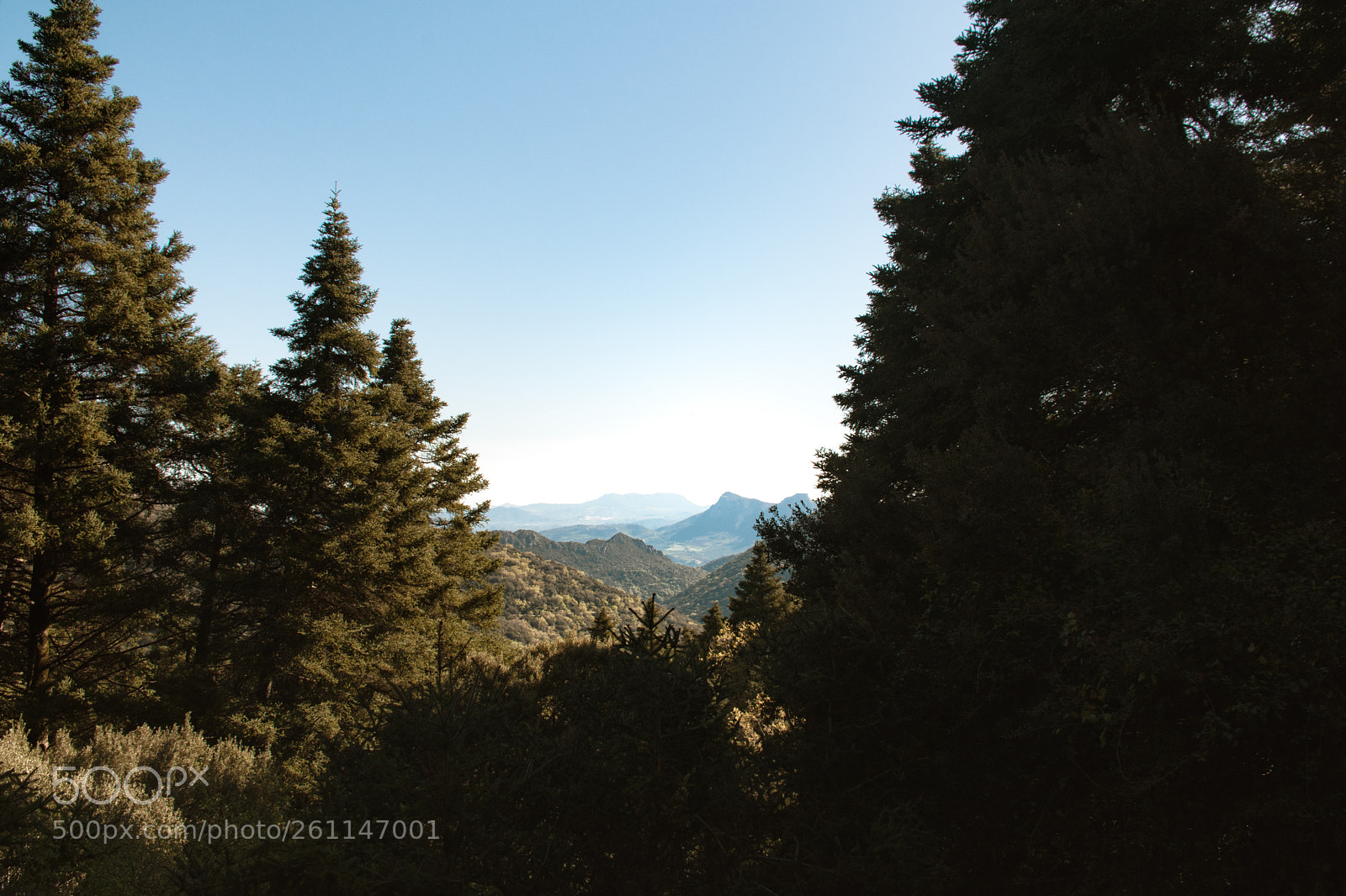 Nikon D7200 sample photo. Infinite scene photography