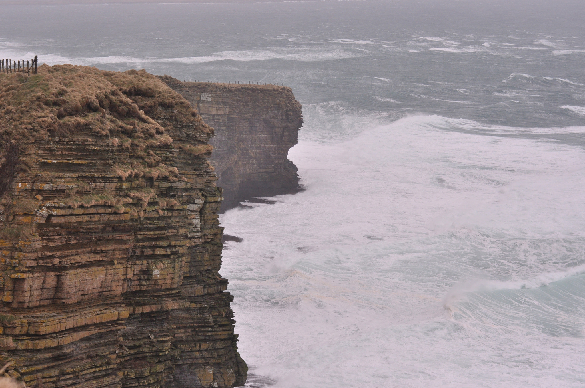 Nikon D90 + Nikon AF-S Nikkor 50mm F1.8G sample photo. Dunnethead, thurso, scotland photography