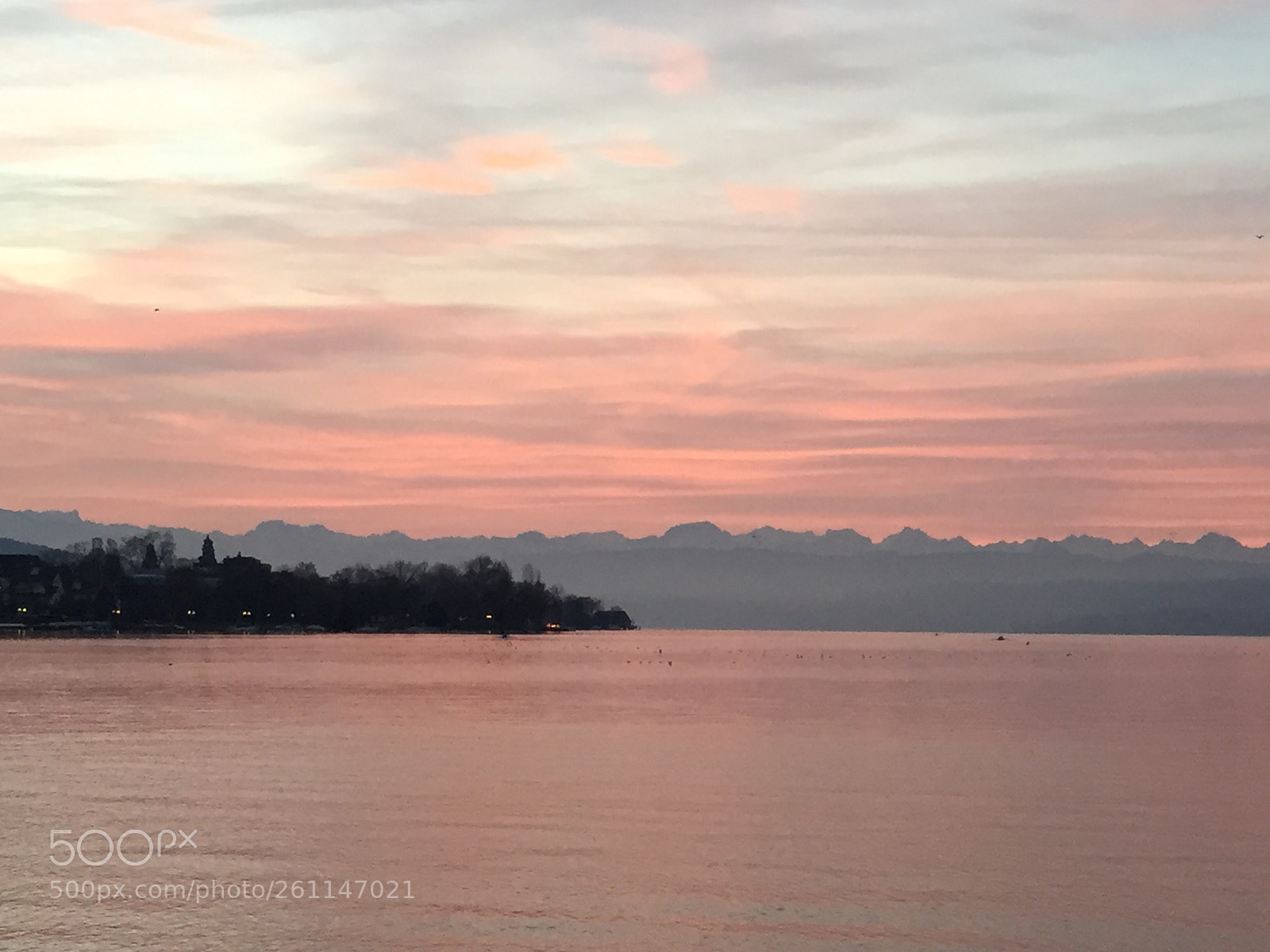 Apple iPhone 6 sample photo. Sailors delight  photography