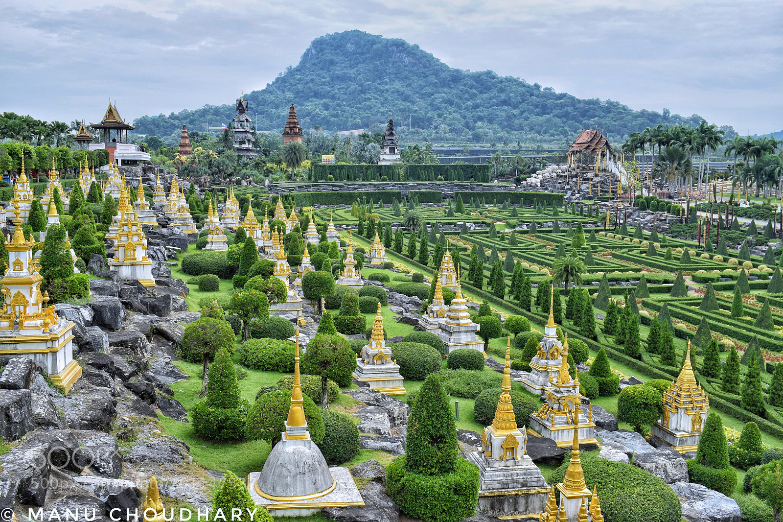 Nikon D5300 sample photo. Nong nooch tropical botanical photography