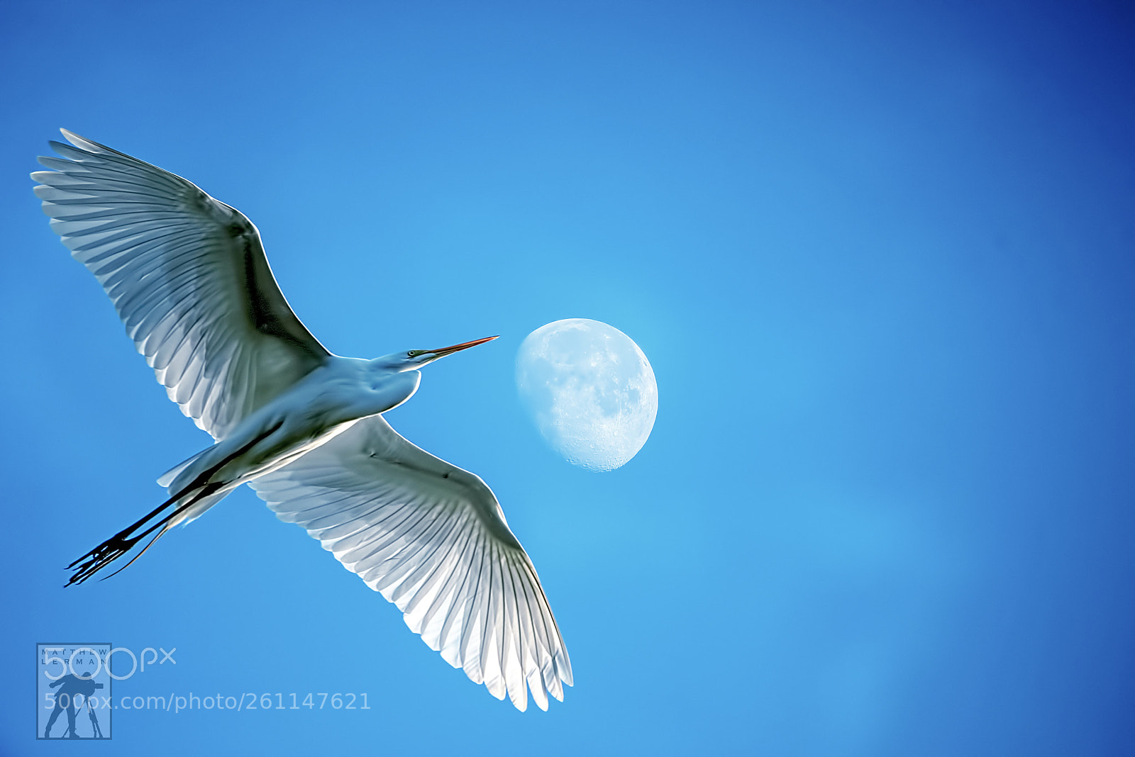 Nikon D810 sample photo. Moon shot  1820 photography