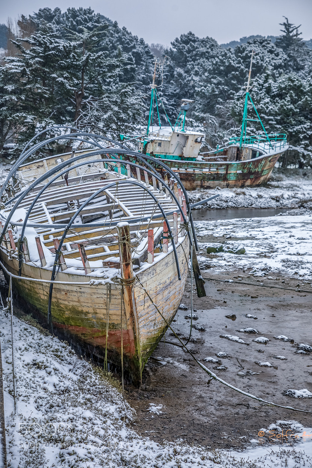 Canon EOS 5D Mark IV sample photo. Cold wave photography